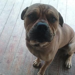 Meet your Posher, Dottie